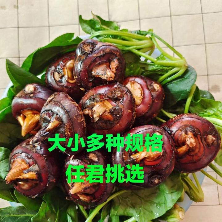 安徽产地直销优质新鲜荸荠马蹄地栗包邮