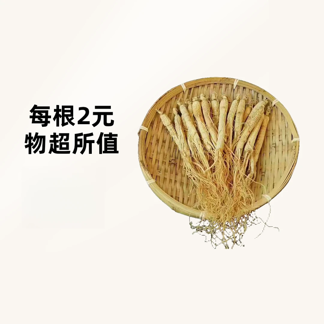 笛鹿长白山人参生晒参5年吉林源头产地参农直发单支3g-5g干参泡酒
