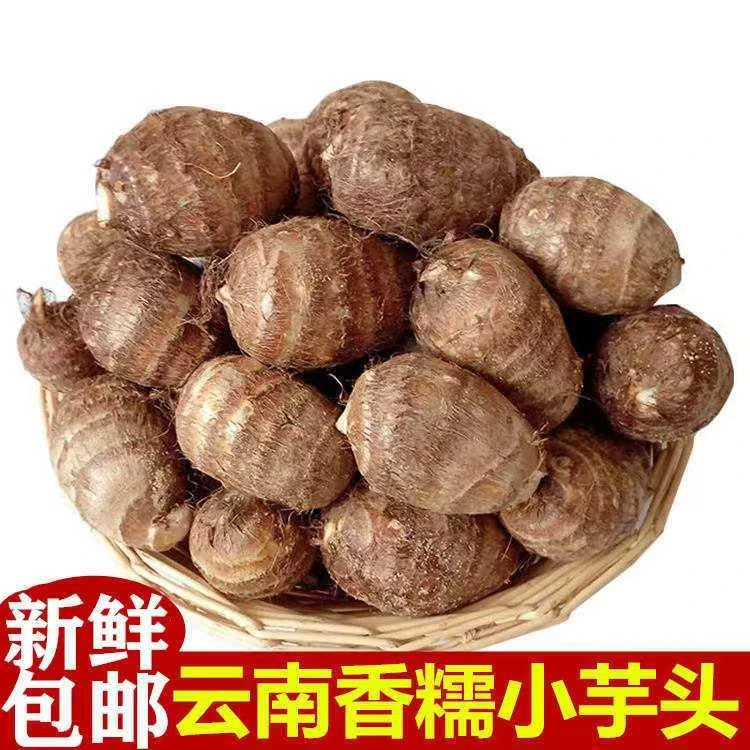 云南牛奶毛芋头10斤/5斤/3斤装包邮精选小芋艿软糯香甜农家种植