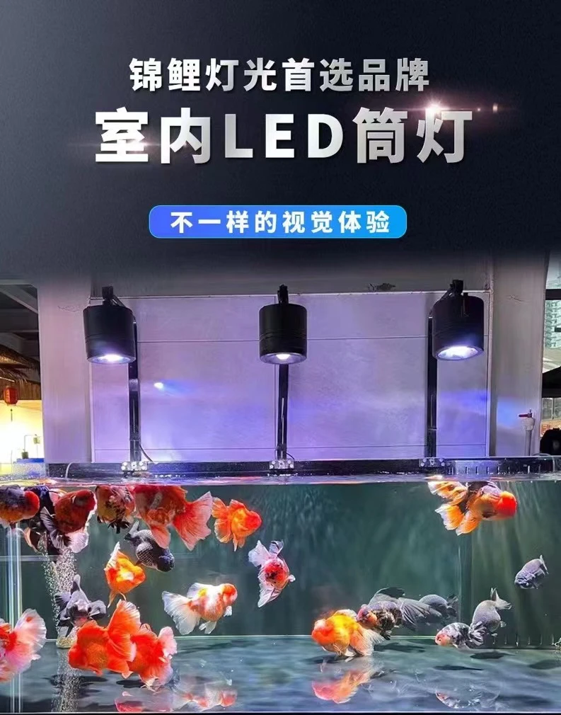 锦鲤观赏鱼通用室内LED筒灯