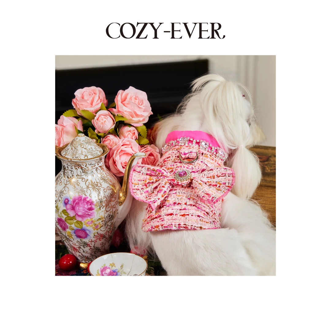 COZY-EVER镀金时代·绮丽梦境宠物小香风服饰 非七天无理由退换