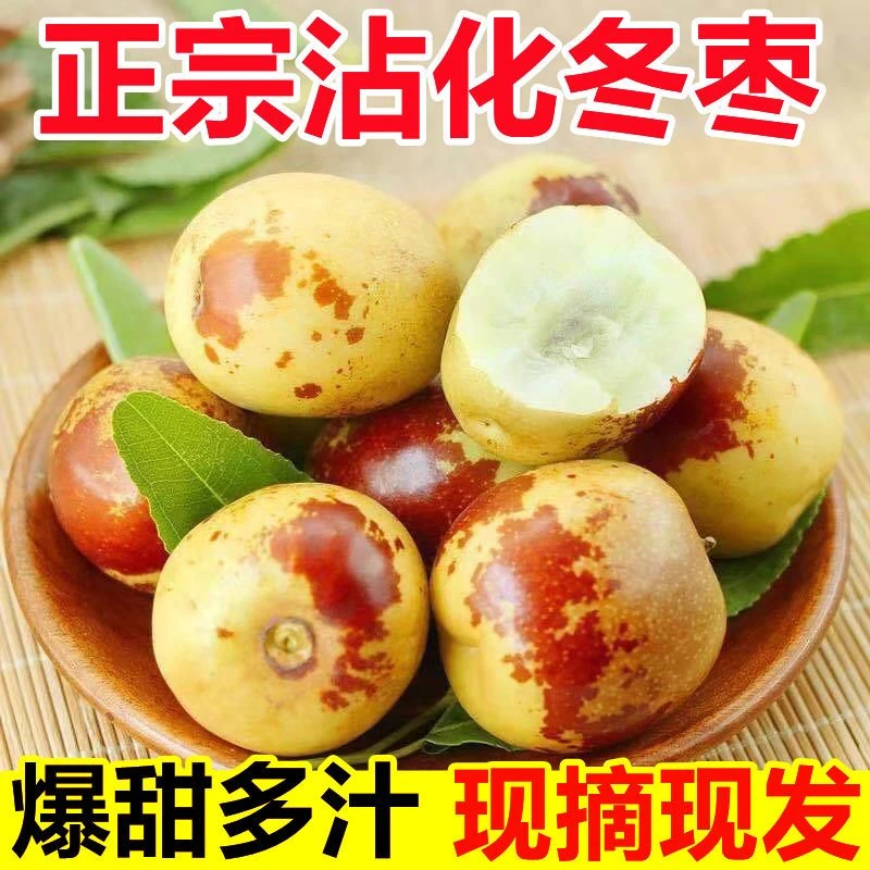 正宗山东沾化露天冬枣现摘现发脆甜多汁地头发货坏果包赔