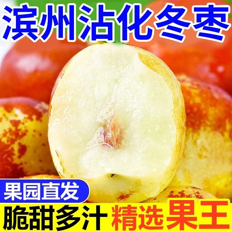 正宗山东沾化冬枣5斤装大棚一代鲜枣脆甜多汁原产地直发地头现摘