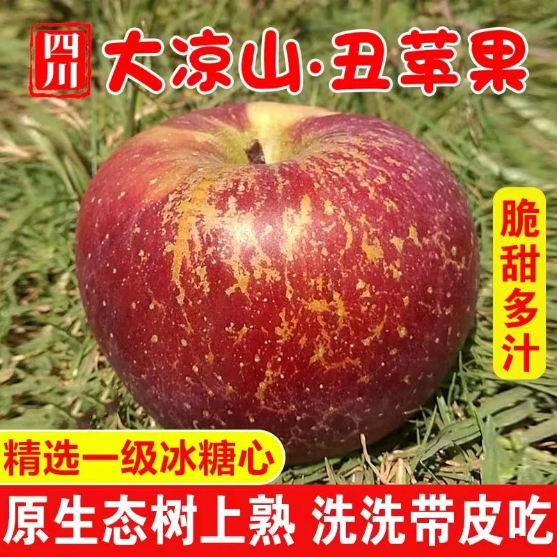 昭通冰糖心丑苹果当季应季新鲜水果批发整箱现摘现发5/8斤包邮