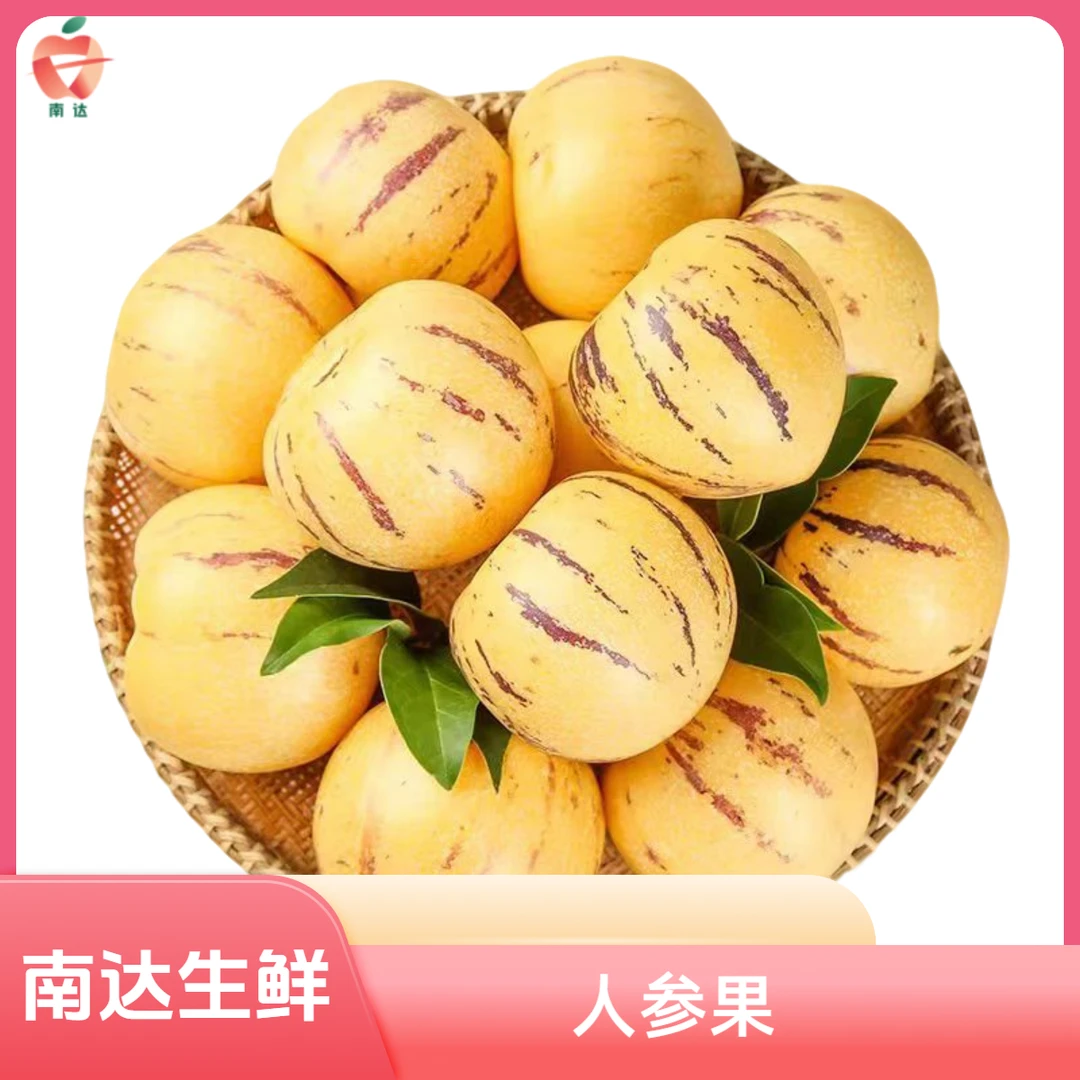 人参果 6/盒装 500g1斤装