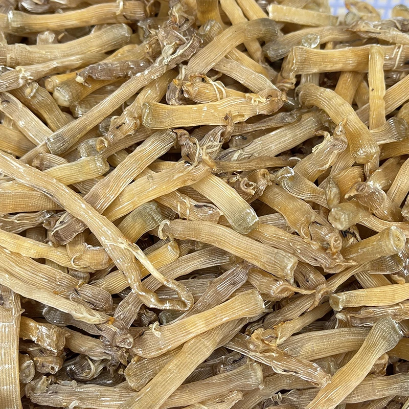 广西北海新鲜晒干小沙虫