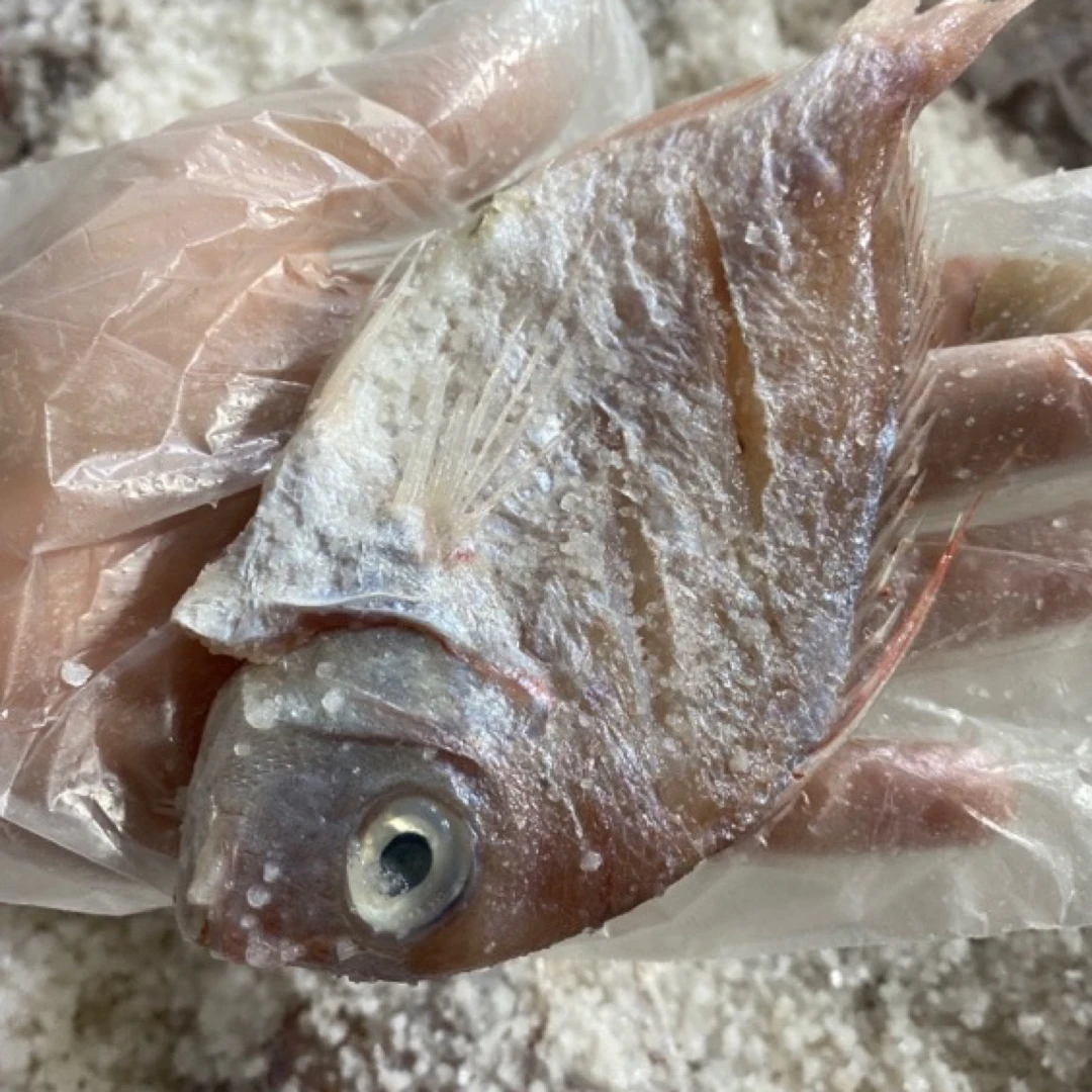 新鲜咸鱼红腊鱼一夜程