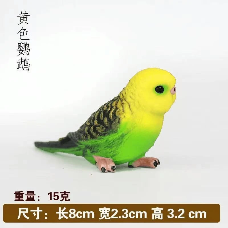 手玩毛绒虎皮鹦鹉