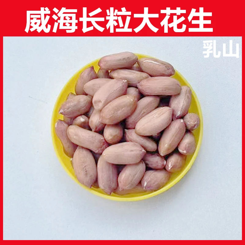 2025新大粒大花生米生花生米当季无壳花生仁甘甜山东2斤5斤装