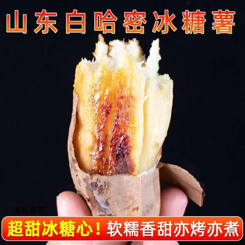 【山东哈密冰糖薯】红薯天花板地瓜粉面香甜红薯蜜薯烟薯番薯