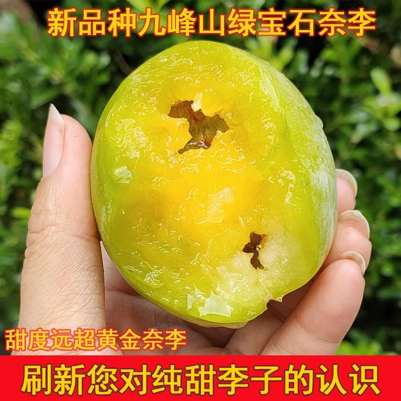 九峰山绿宝石奈李子翡翠李新鲜现摘当季水果冰糖翡翠李5/10斤装