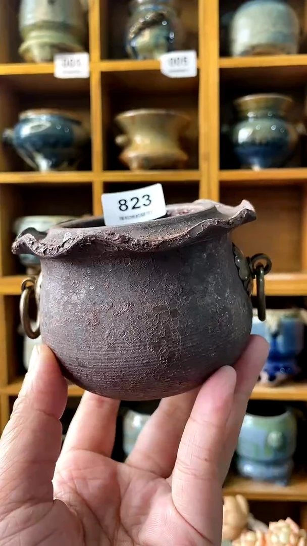 【闪购商品】陶20CM以下823 内口6