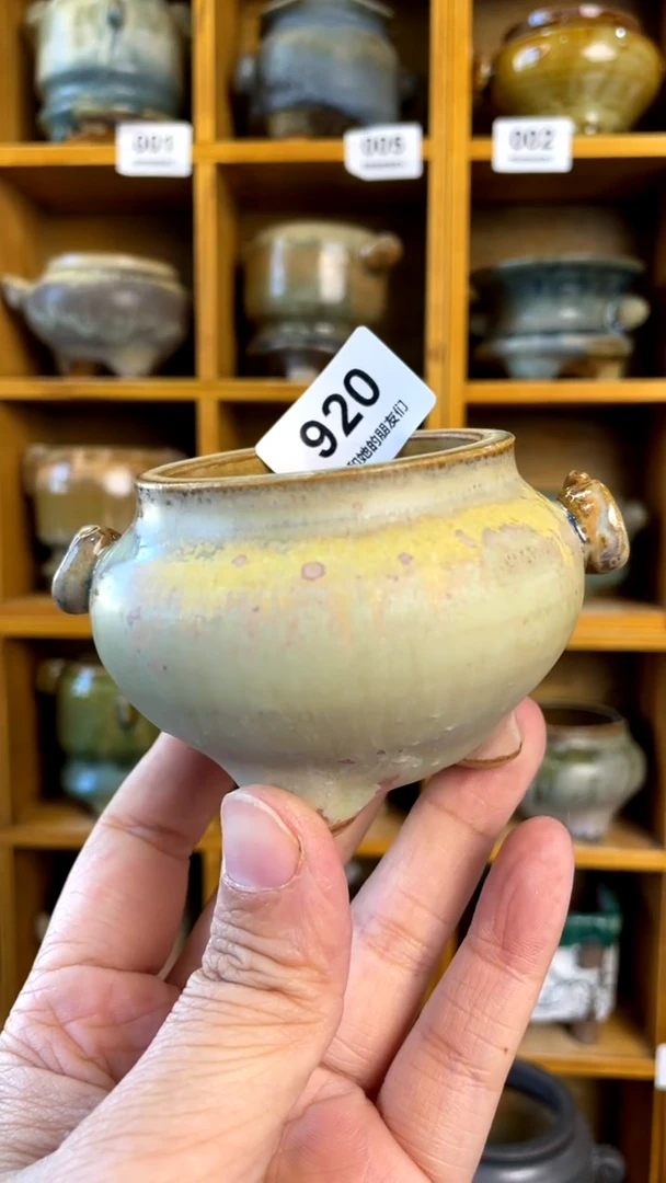 【闪购商品】陶20CM以下920 内口5