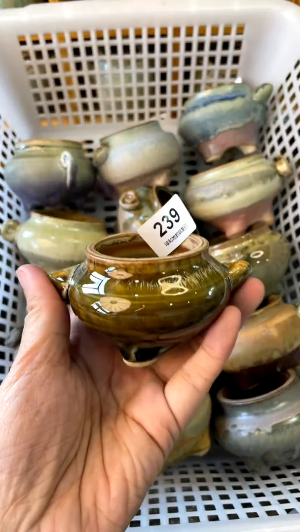 【闪购商品】陶20CM以下239 内口5