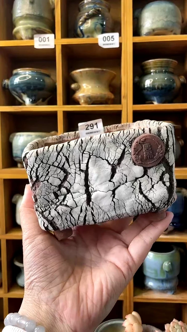 【闪购商品】陶20CM以下291 内口11.5