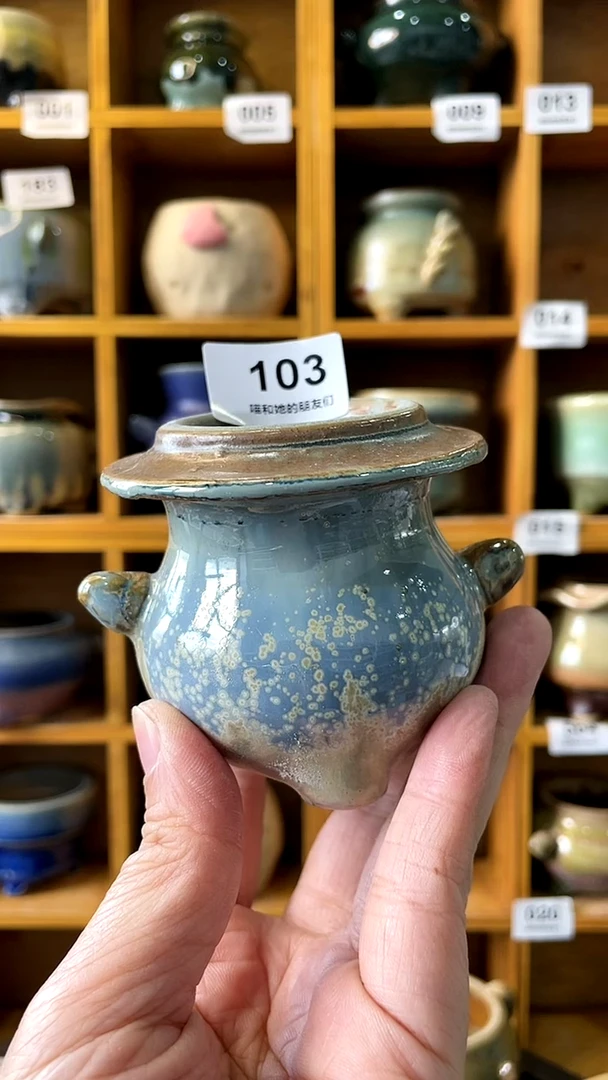 【闪购商品】陶20CM以下109 内口4