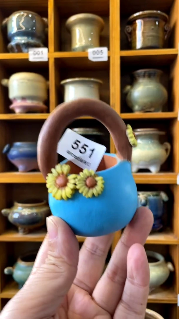 【闪购商品】陶20CM以下551 内口4