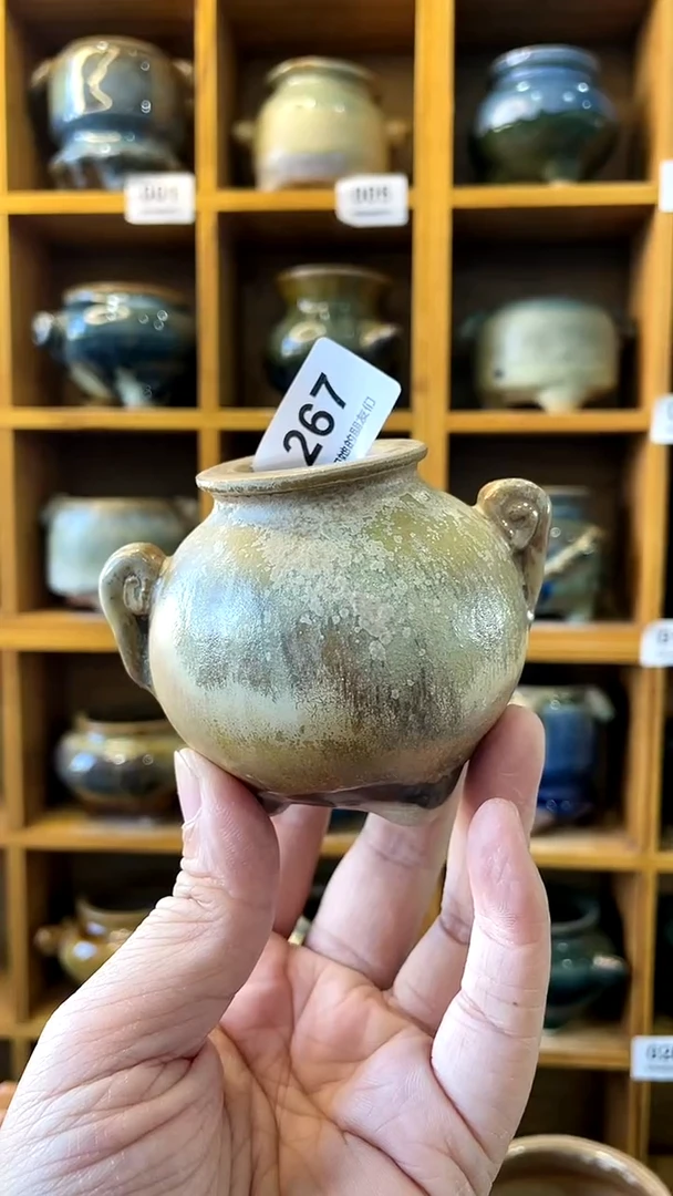 【闪购商品】陶20CM以下267 内口2