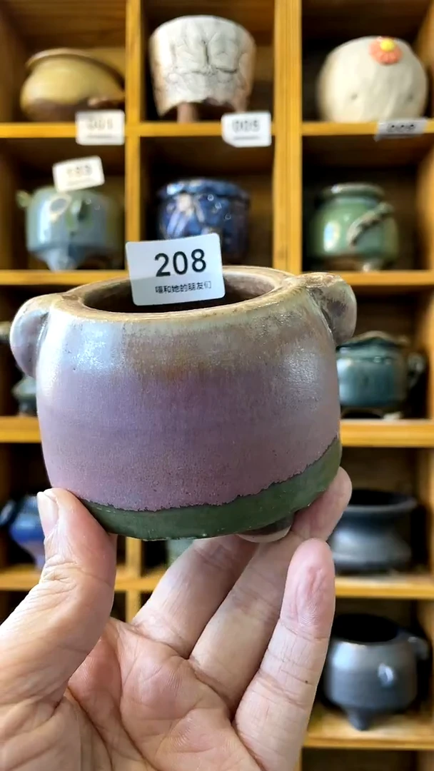 【闪购商品】陶20CM以下208 内口5【限时特惠】