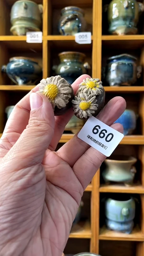 【闪购商品】陶20CM以下660