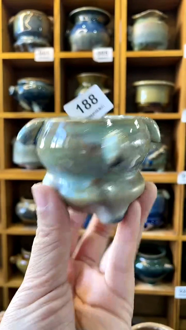 【闪购商品】陶20CM以下188 内口5