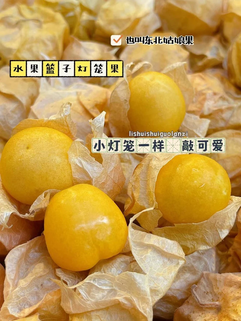 （满39配送到家）灯笼果（1斤）