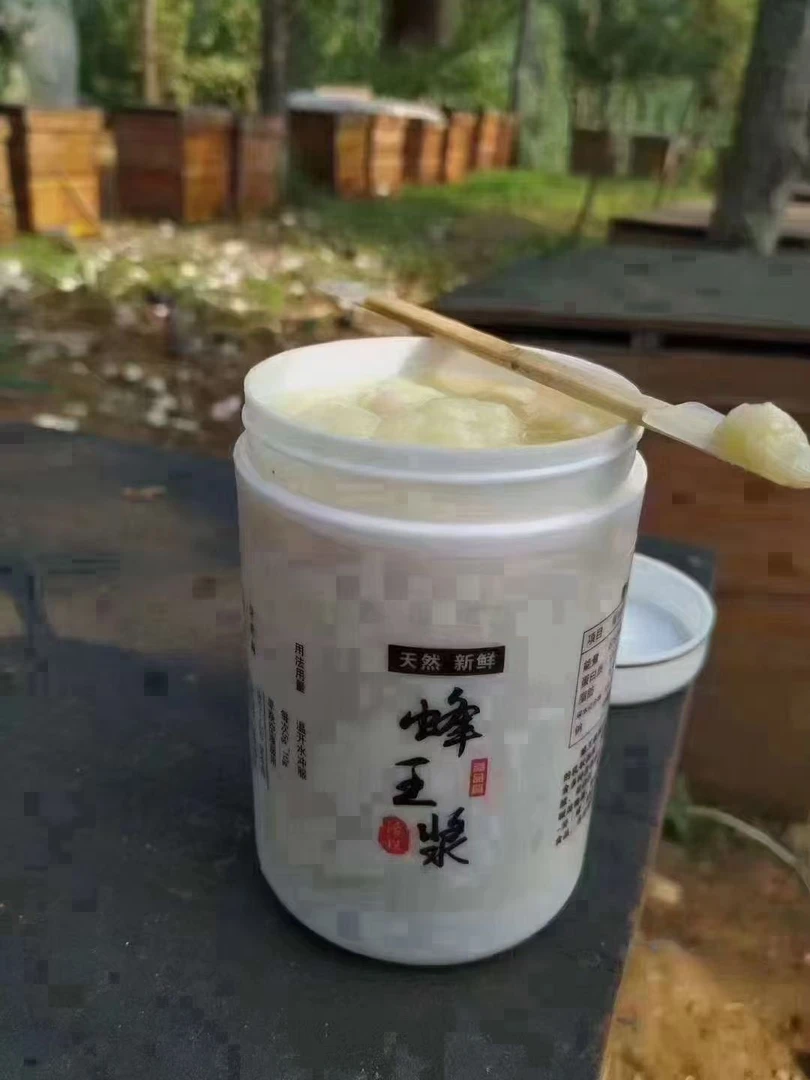 椴树蜜蜂王浆一瓶一斤