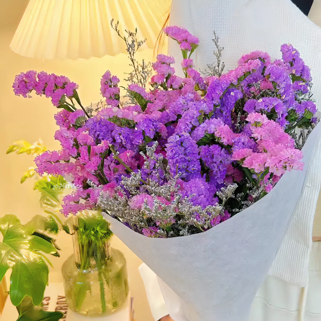 【买一束送一束】勿忘我半干花鲜花真花鲜艳A级客厅家居摆件