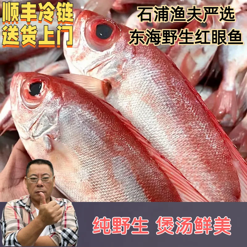 【石浦渔夫】【红眼鱼】宁波东海野生海捕 象山石浦发货 顺丰冷链包邮