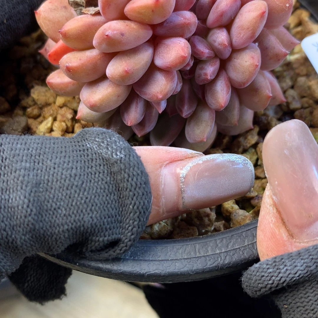 A369售后范围：签收起7天内，超时不售后