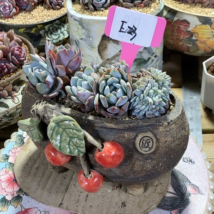 【闪购商品】(****哈20231221-e23
