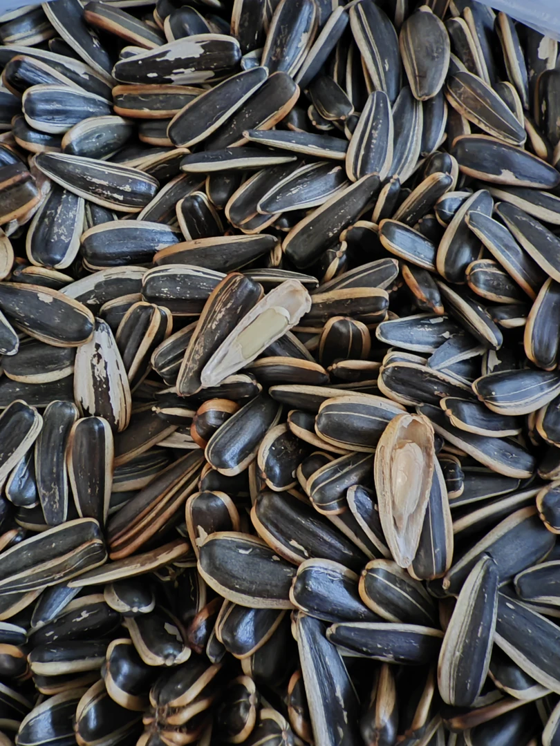 东北农家瓜子，颗粒饱满3斤包邮