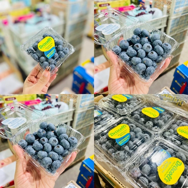 当季限量版怡颗莓蓝莓*盒
