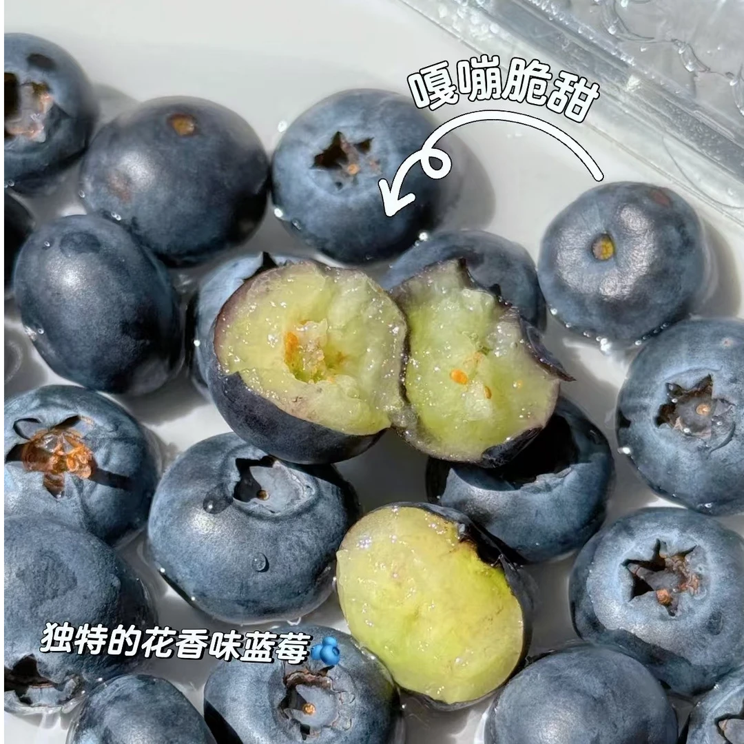【发发】美奥兹加蓝莓一盒【125g】