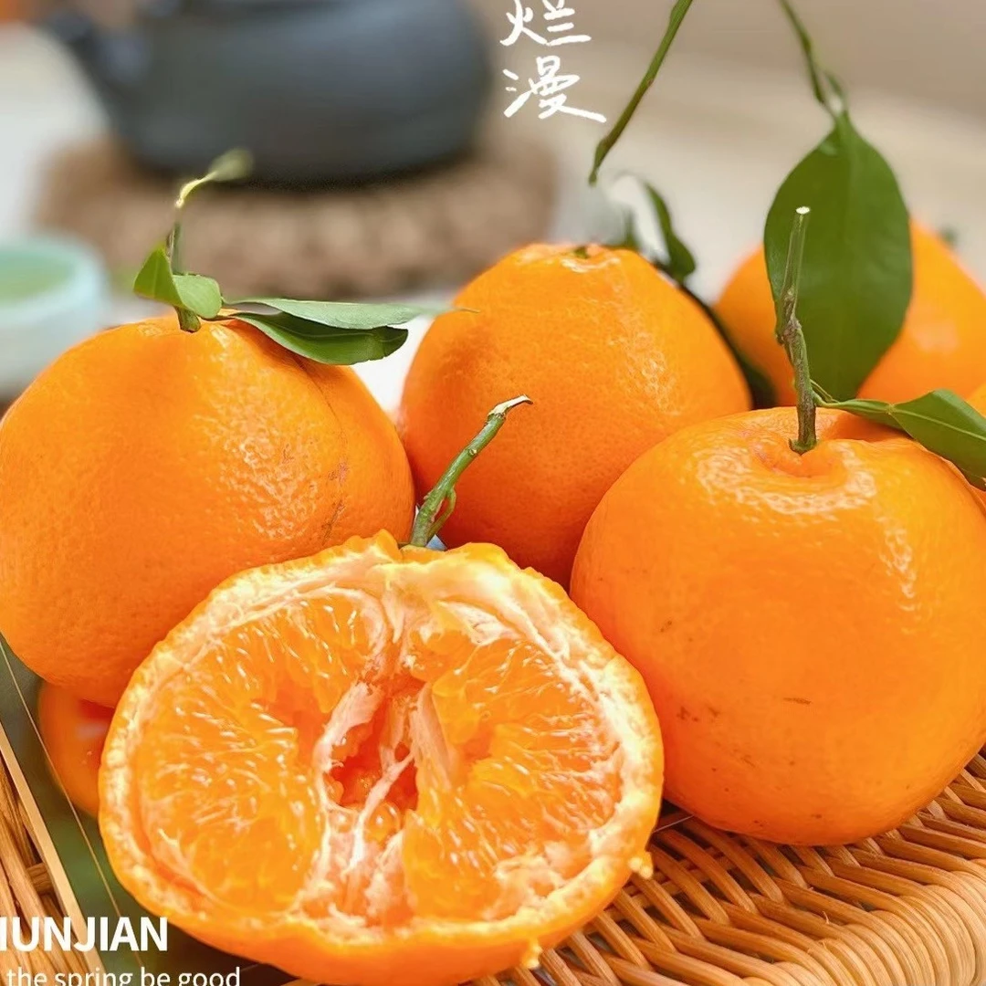 【发发】表面丑内心甜-丑橘2斤【满39元免费配送上门】
