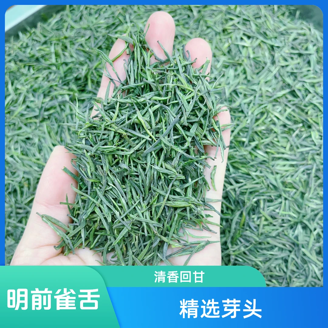 2024新茶大别山高山绿茶独芽雀舌嫩芽明前茶清香回甘茶叶