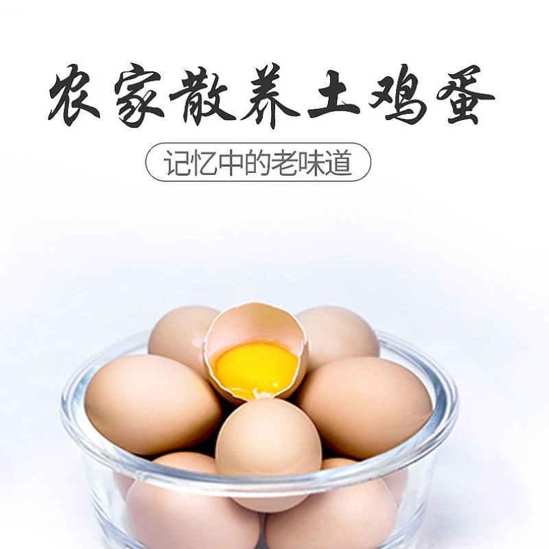 【高原山林鸡蛋】乌骨鸡纯土鸡蛋40g/枚现捡现发  新人试吃体验装