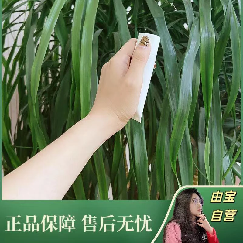 【稀缺 太奢侈了！】隐形“白手套”能护甲的护手霜 天鹅手甲霜