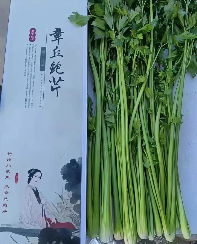 正宗章丘鲍芹 脆甜无丝无渣  （部分地区不包邮）特产