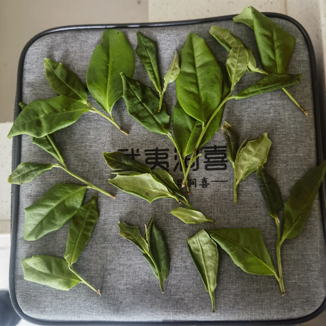 武夷岩茶代拍链接哈哈