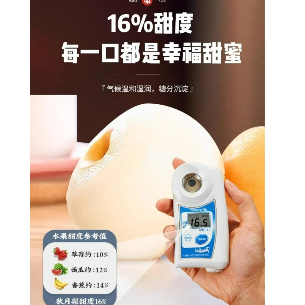 【新店福利抄底】净重5斤正宗山东新鲜秋月梨口感甘甜品质发货个头