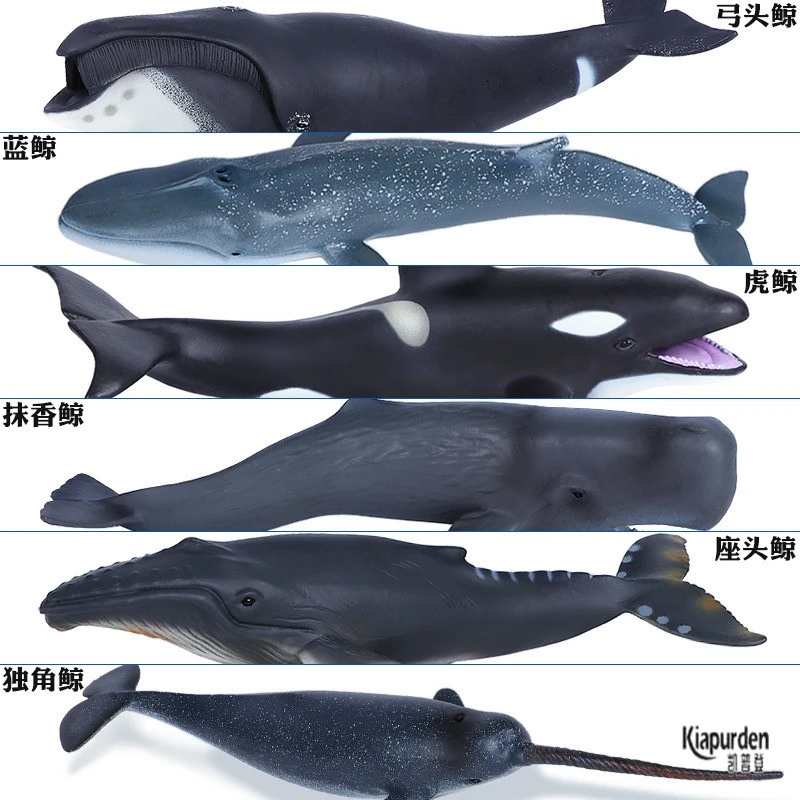 #女孩生物鲸鱼模型弓头鲸恐龙玩具大恐龙银翼飞龙二合一玩具车