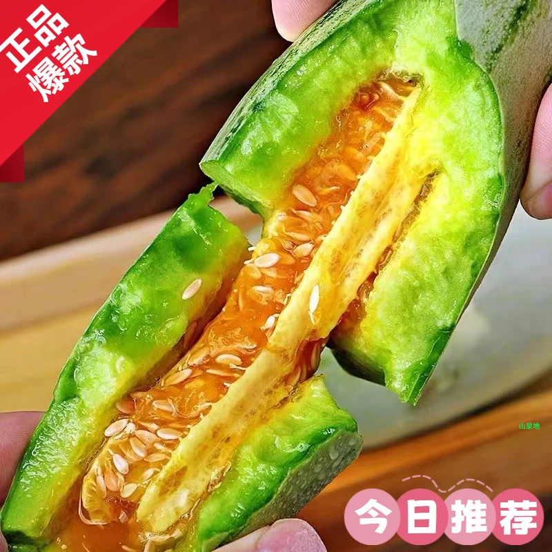 头茬羊角蜜甜瓜 3-5斤脆甜新鲜当季水果香瓜山东产地现摘脆甜香糯