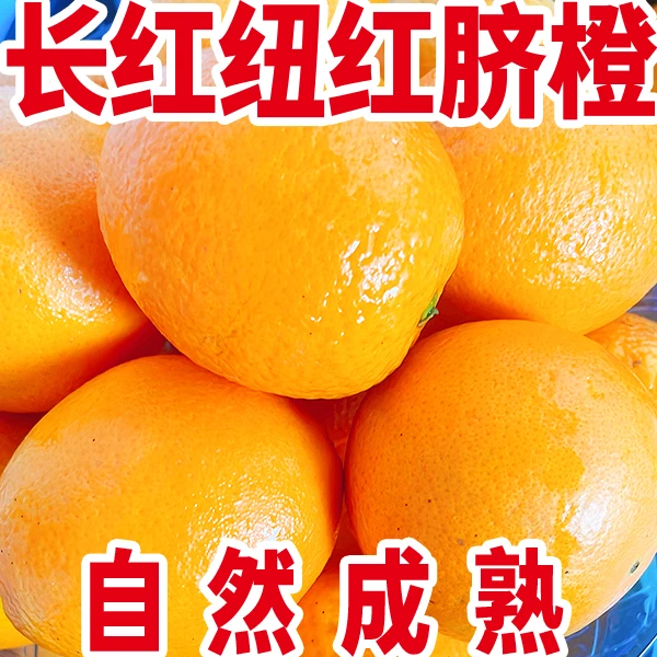 重庆长红纽红脐橙应季水果礼盒现摘新鲜鲜甜