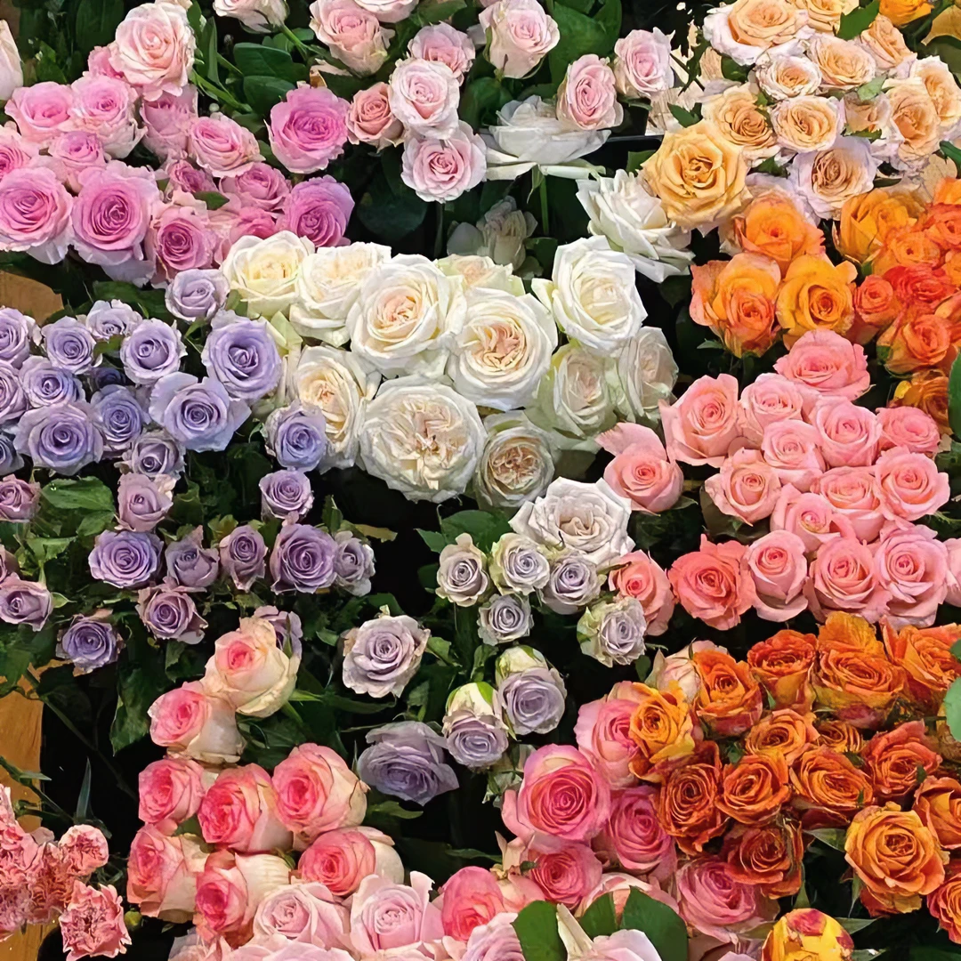 组合花束套餐 - 全场任意满两单顺丰包邮 昆明基地直发