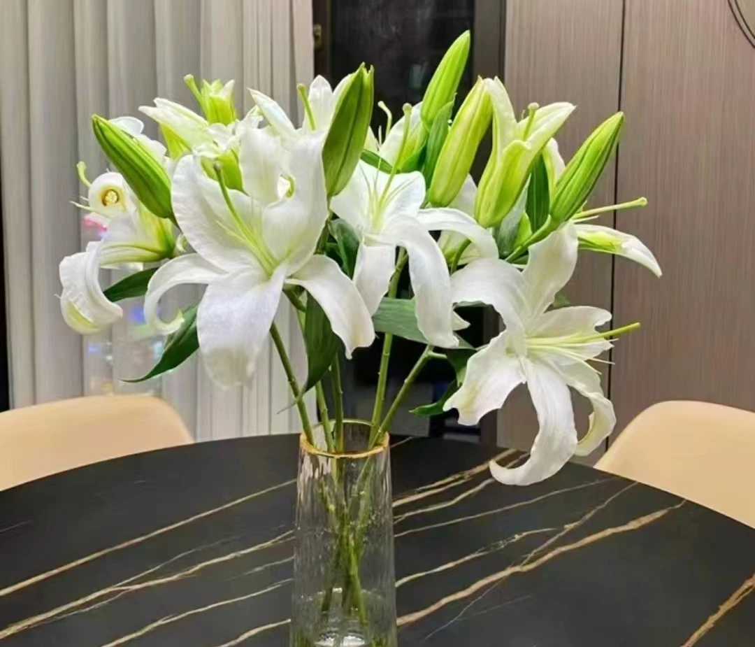 西伯利亚香水百合  全场任意满两单顺丰包邮 昆明基地直发