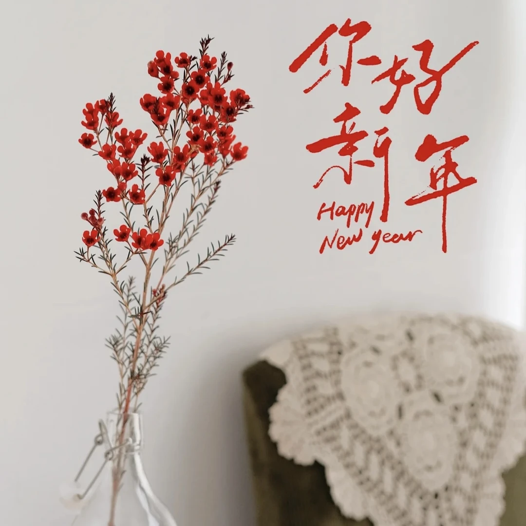 【中花澳洲蜡梅】顺丰冷链包邮 0°以下请拍保温棉 没有拍冻坏不售后