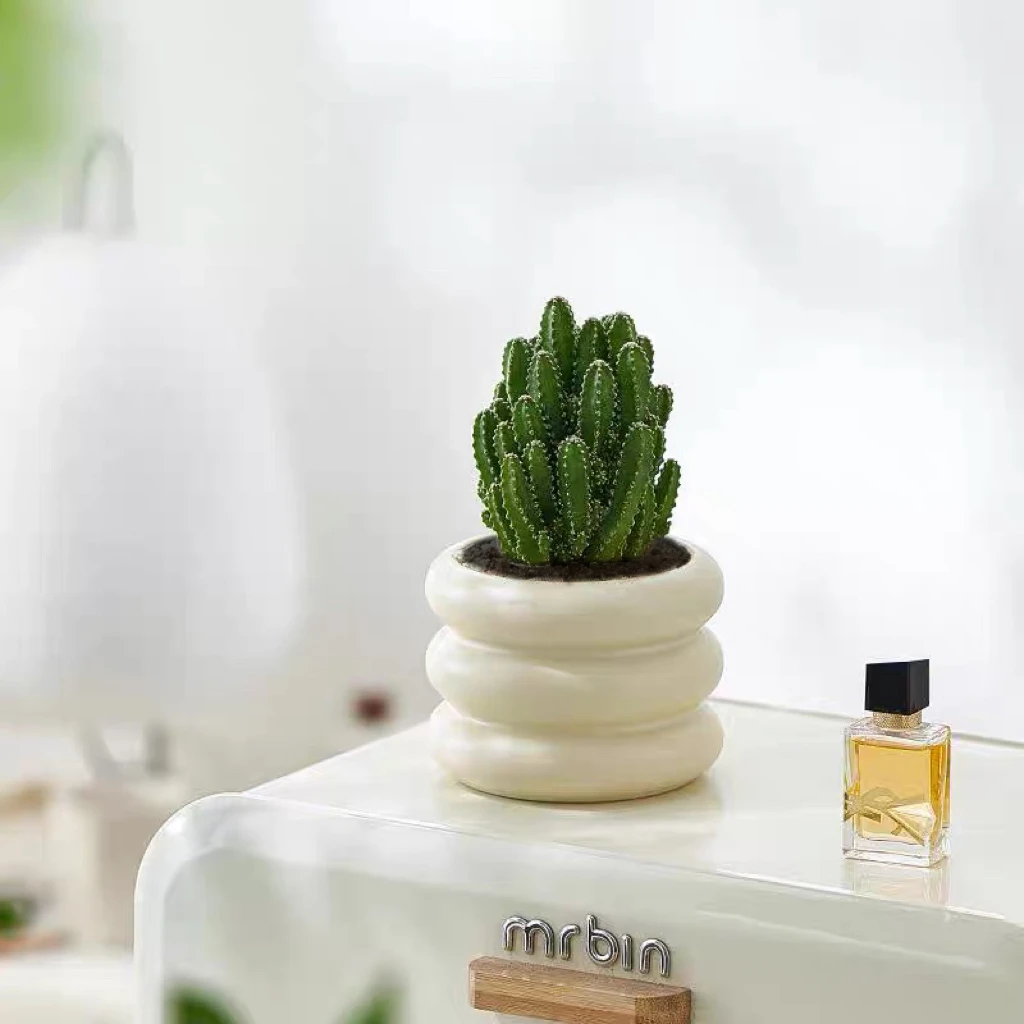 万重山仙人球聚财山盆栽多肉绿植花卉电脑植物防辐射桌面阳台