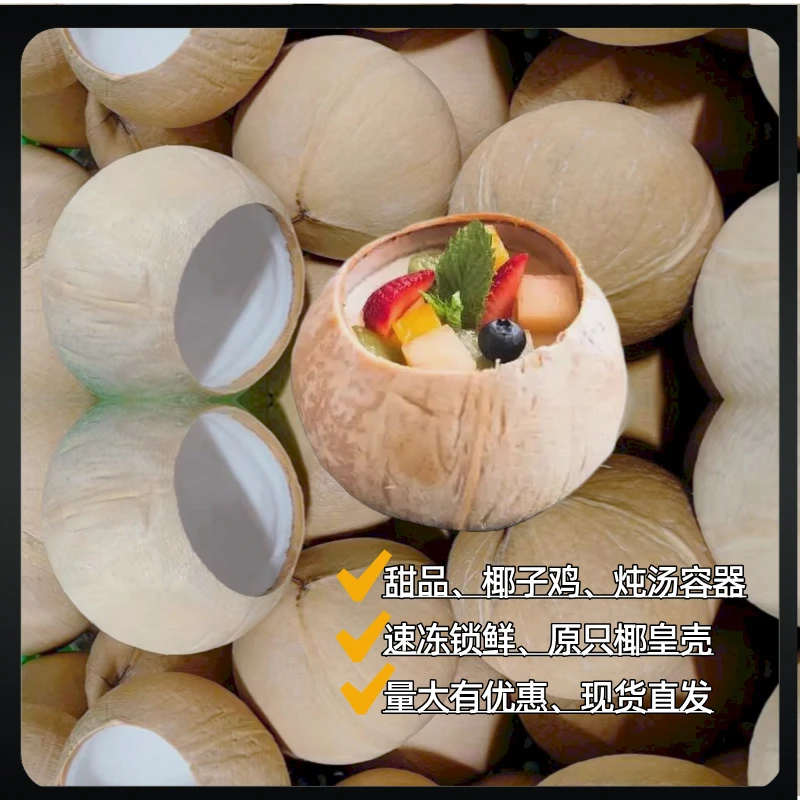 欧可可冷冻椰皇壳餐饮甜品炖汤专用容器