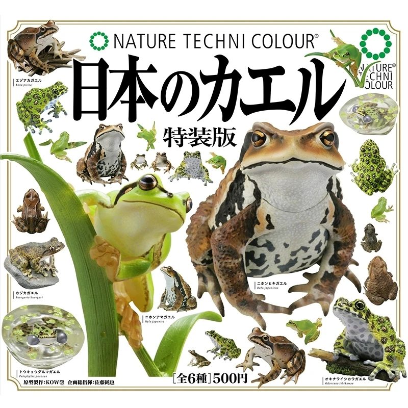 现货代拆 青蛙蟾蜍特装版扭蛋 绿蛙桔梗青蛙旗鱼蛙立体摆件